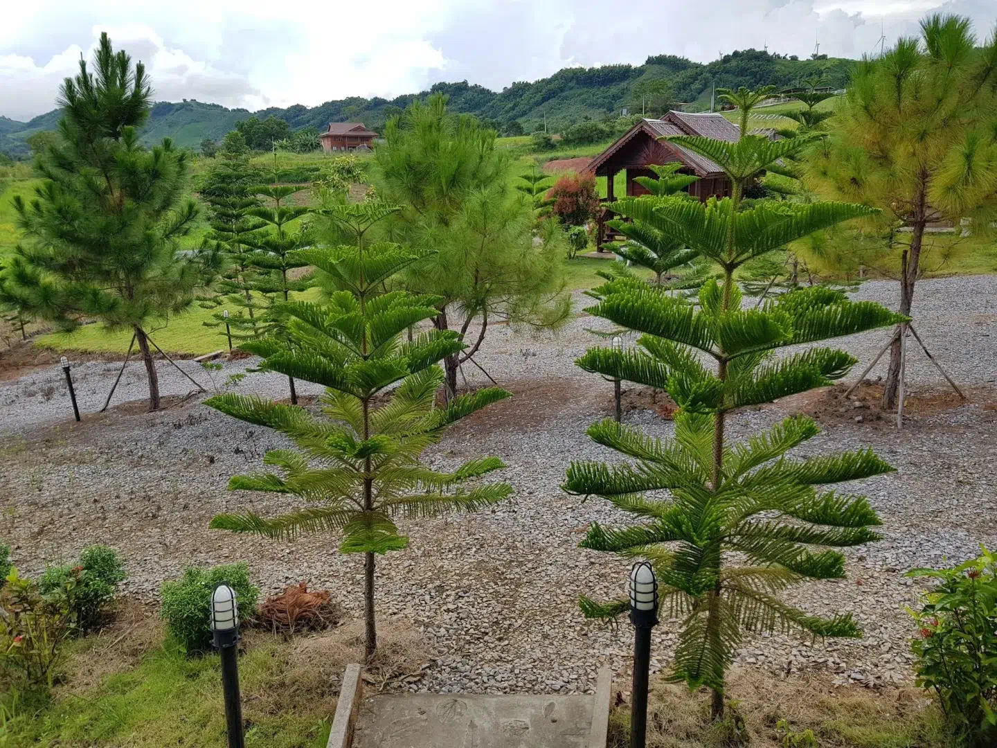Hotel image 7