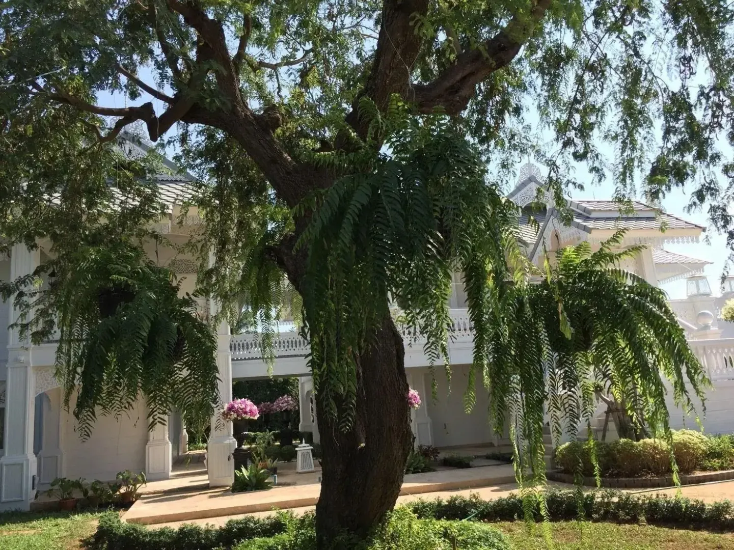 Hotel image 19