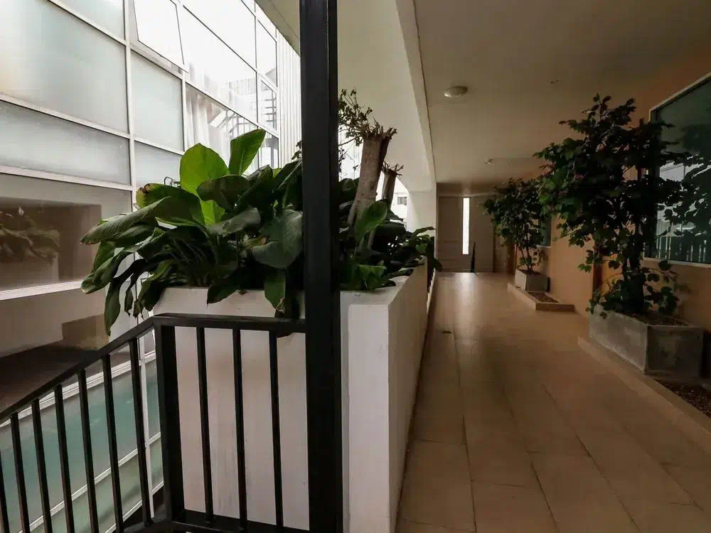 Hotel image 6