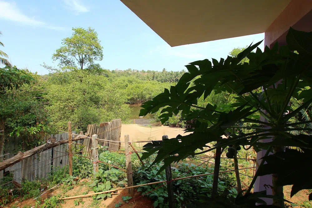 Agonda Secret Garden - Property photo 15