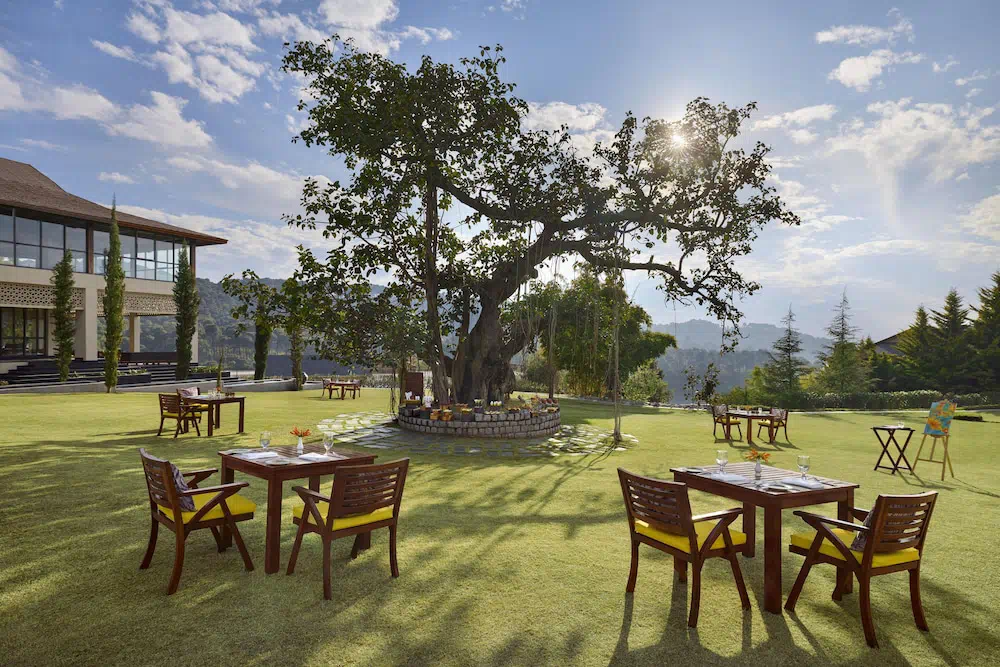 Hotel image 12