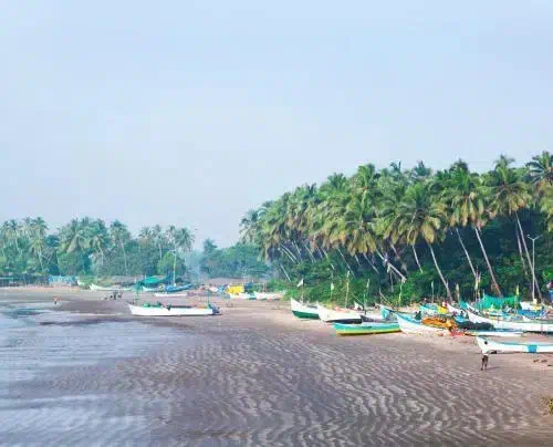 Ahilya By The Sea - Property photo 9
