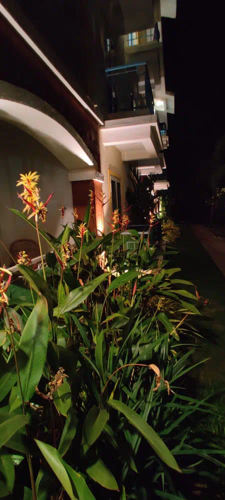 Passions De Goa - Property photo 17
