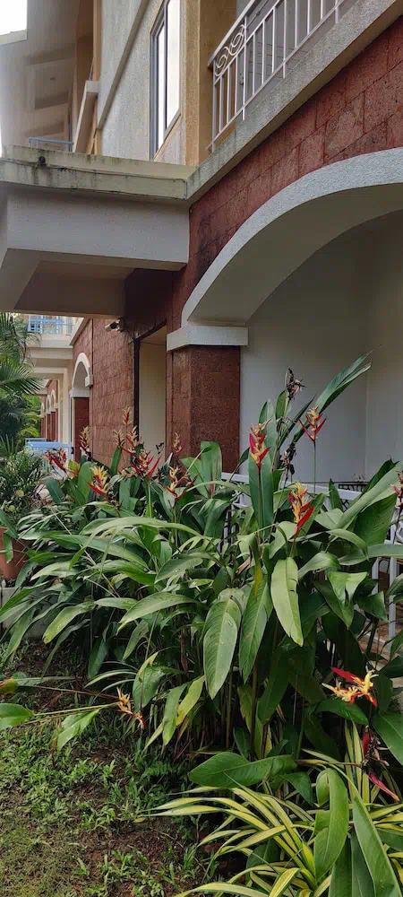 Passions De Goa - Property photo 6