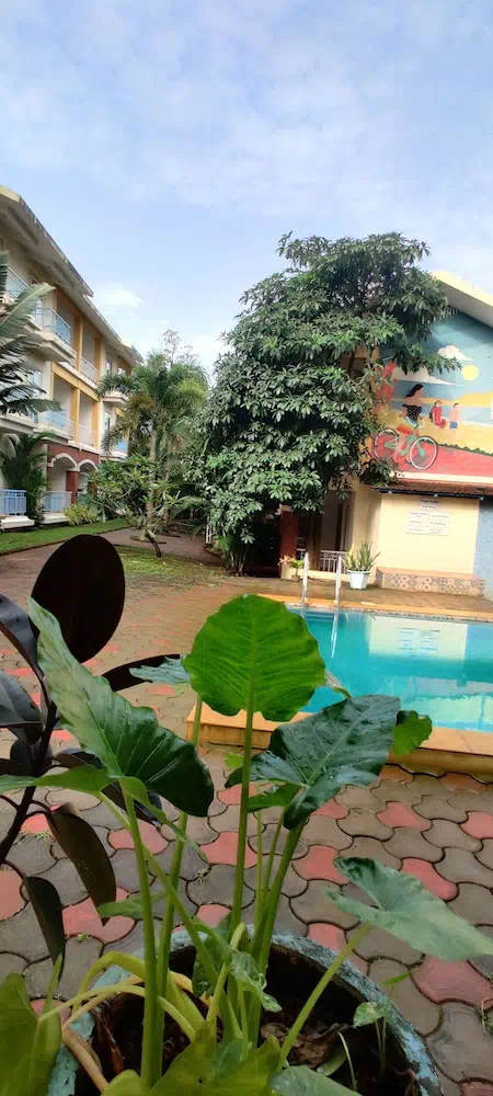 Passions De Goa - Property photo 8