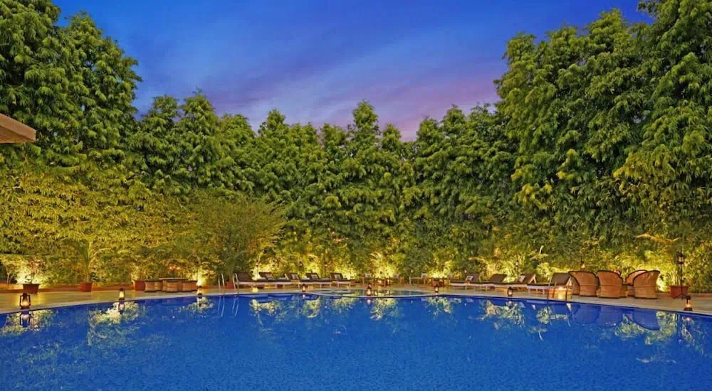 Hotel image 8