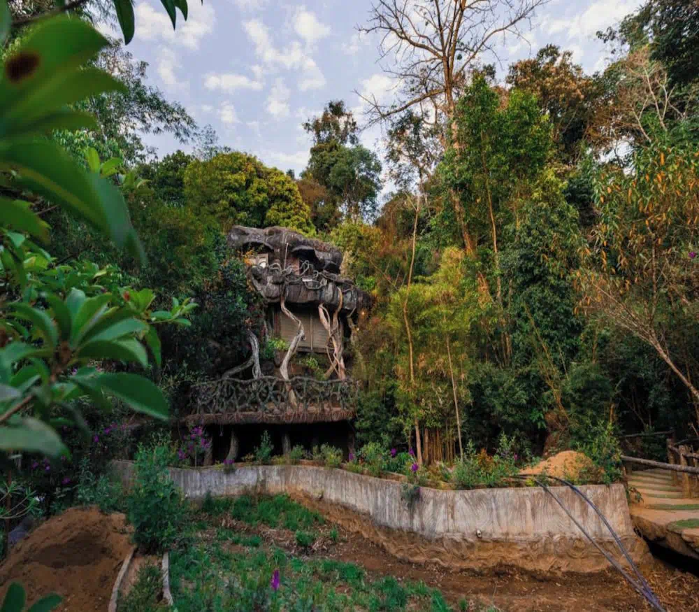 Hotel image 11