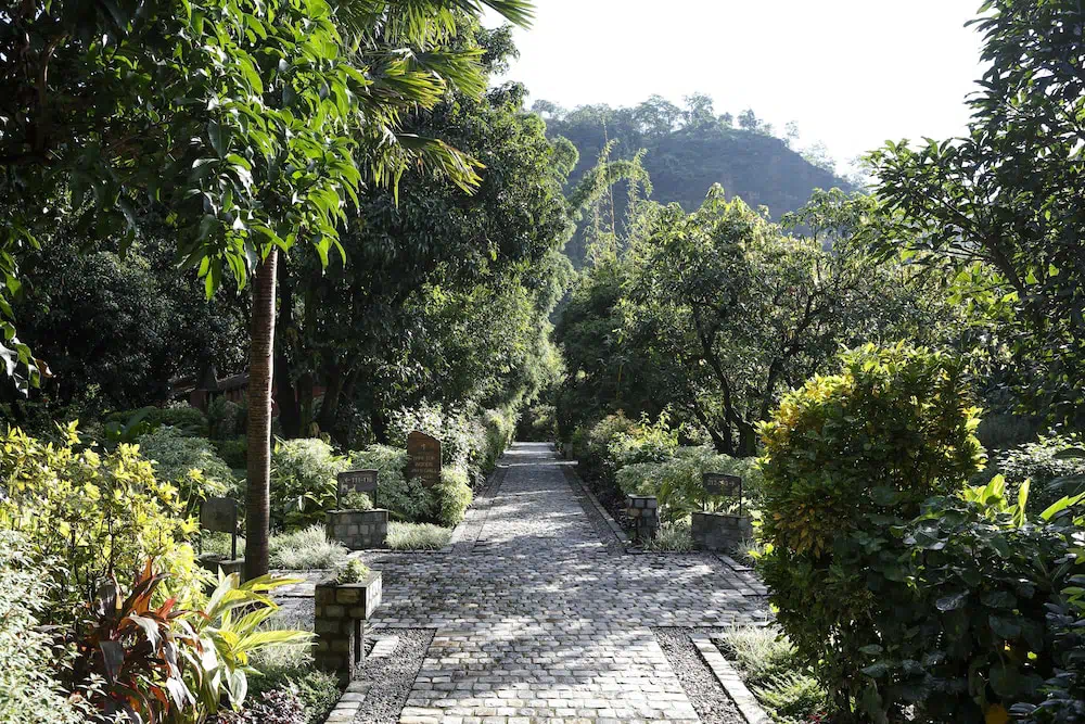 Hotel image 7