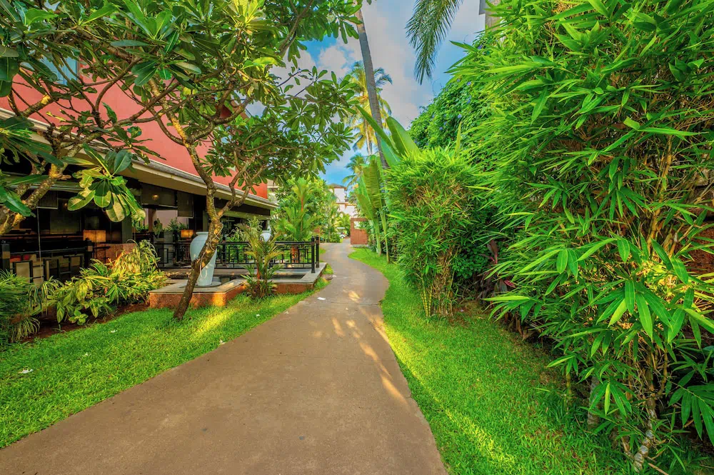 O Hotel Goa Candolim Beach - Property photo 11