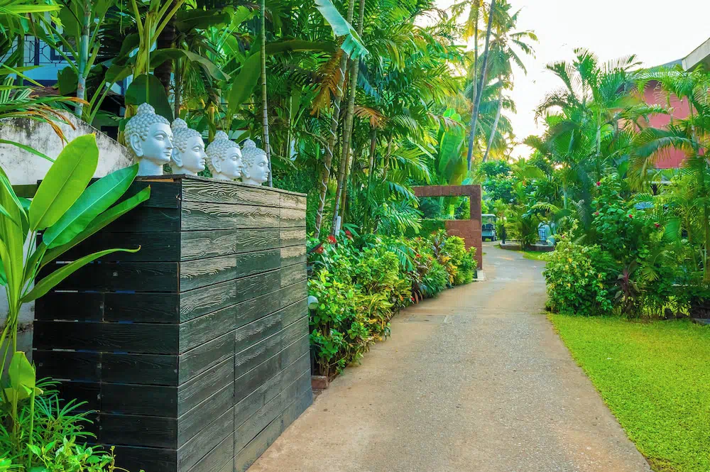 O Hotel Goa Candolim Beach - Property suite and interior view