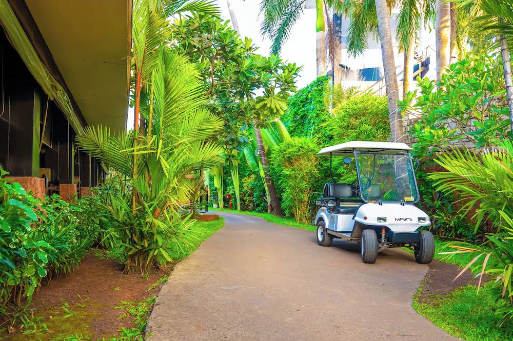 O Hotel Goa Candolim Beach - Property photo 6