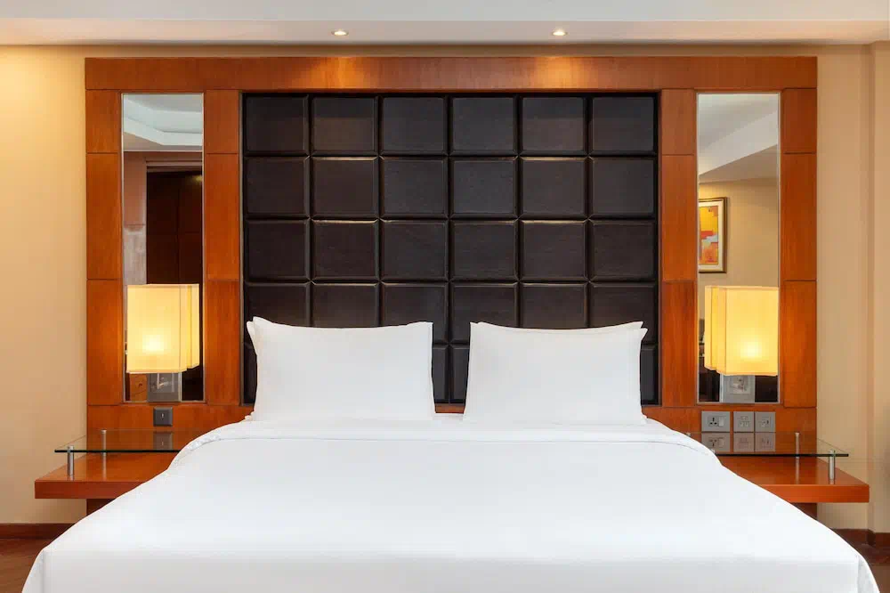 Radisson Blu Plaza Delhi Airport - Property photo 10