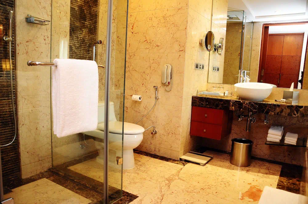 Radisson Blu Plaza Delhi Airport - Property photo 11