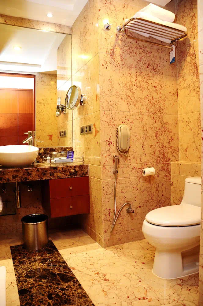 Radisson Blu Plaza Delhi Airport - Property photo 12