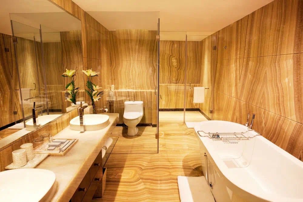 Radisson Blu Plaza Delhi Airport - Property photo 16