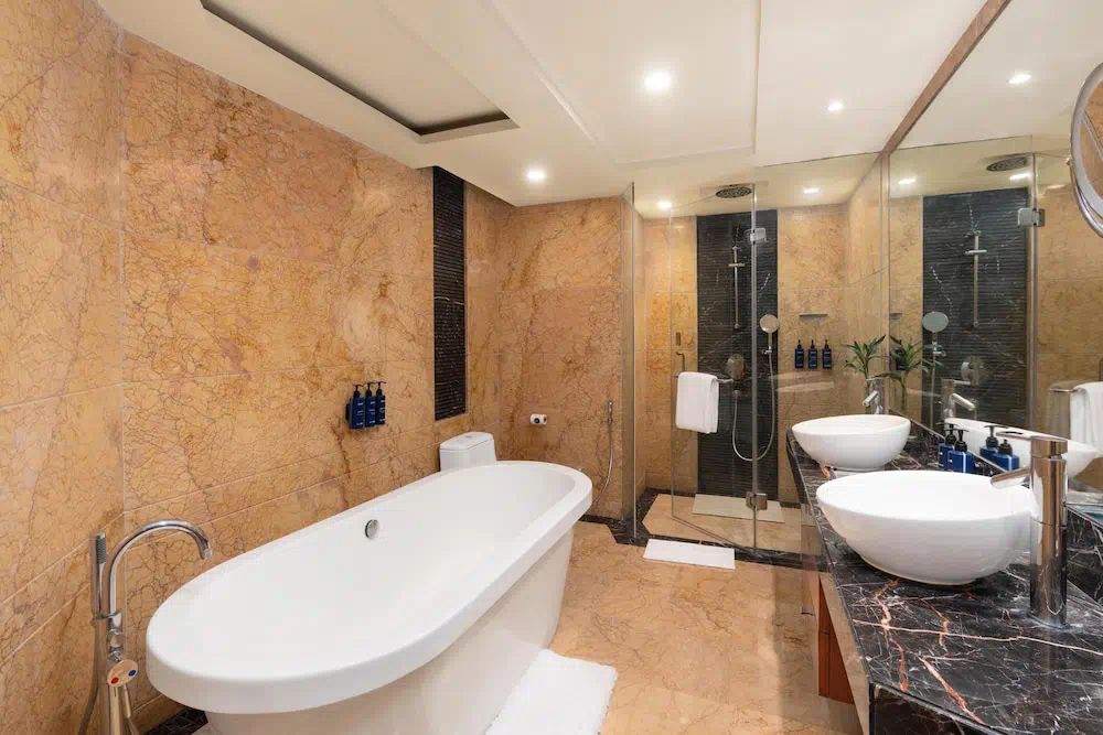 Radisson Blu Plaza Delhi Airport - Property photo 17