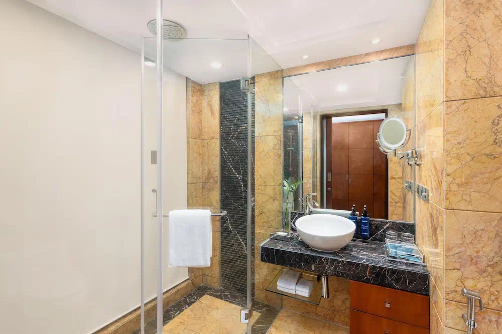 Radisson Blu Plaza Delhi Airport - Property photo 18