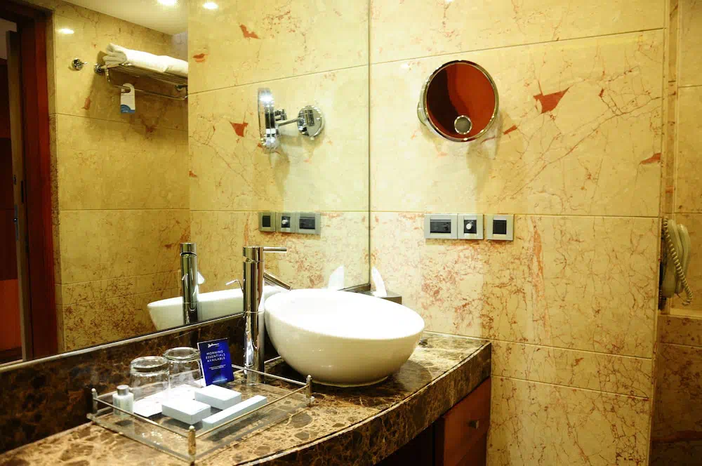 Radisson Blu Plaza Delhi Airport - Property photo 19