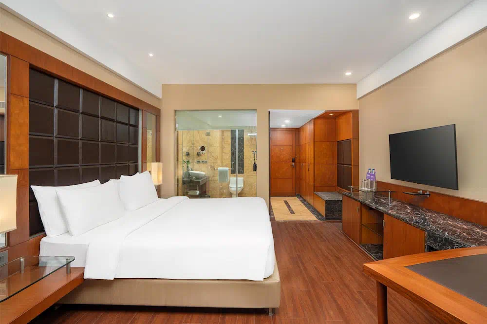 Radisson Blu Plaza Delhi Airport - Property photo 7