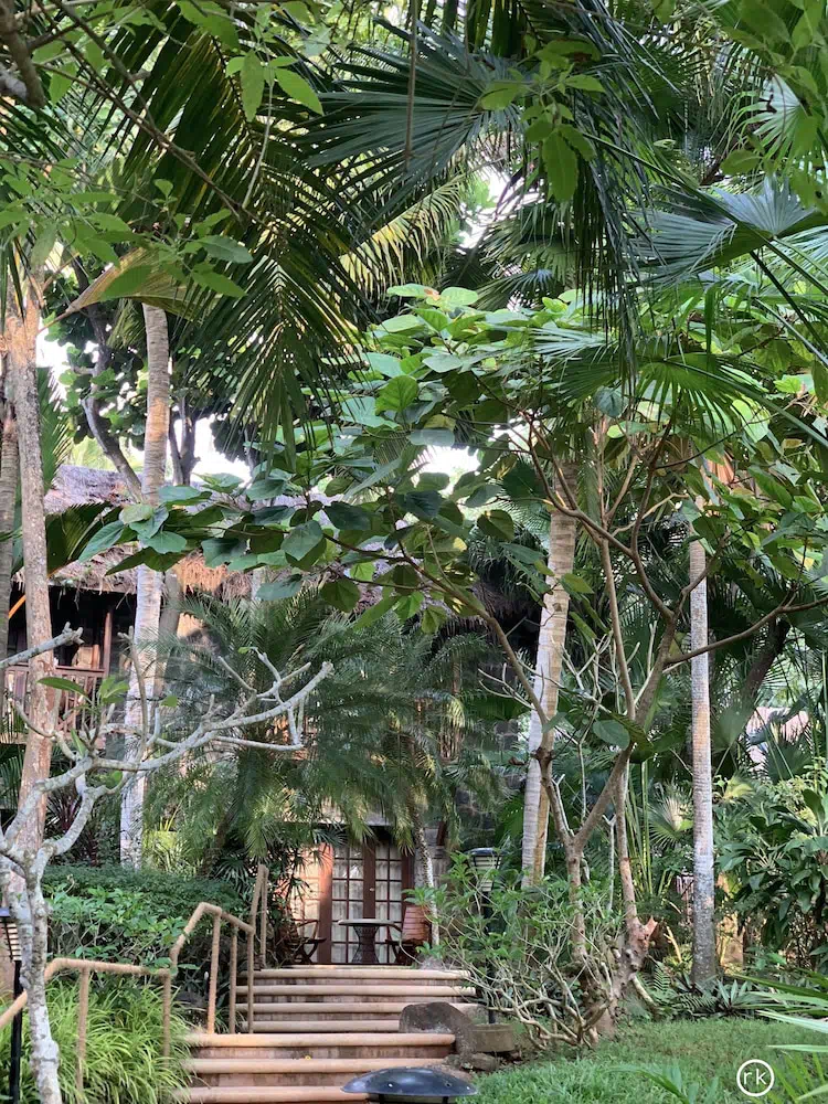Hotel image 14