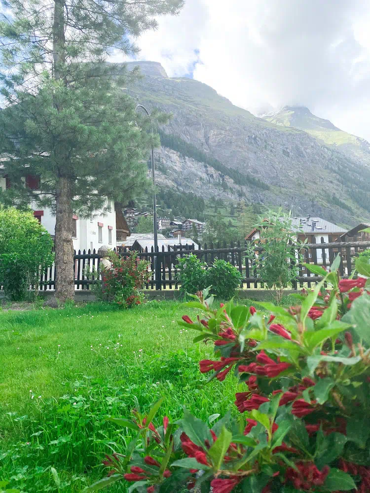 Adonis in Zermatt - Property suite and interior view