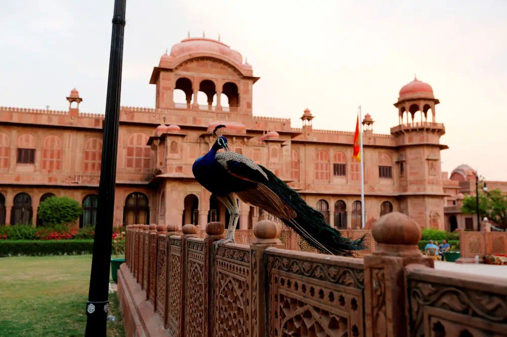 The Lallgarh Palace A Heritage Hotel - Property photo 10