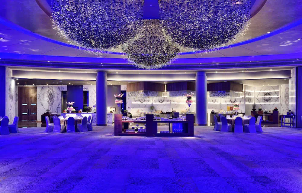 Hyatt Regency Delhi - Property photo 20