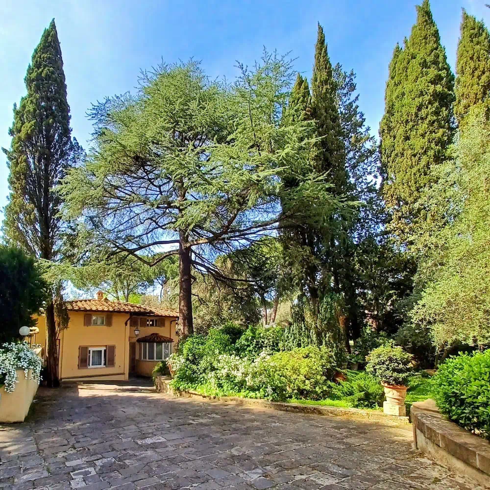 Park Palace in Florence - Property suite and interior view