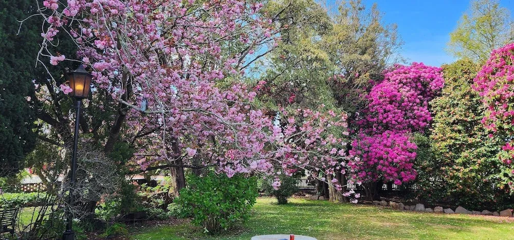 Hotel image 10