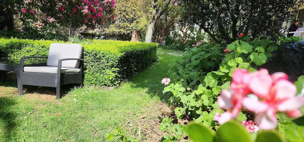 Hotel image 7