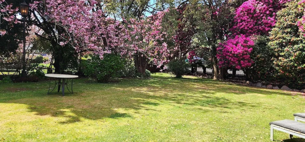 Hotel image 8