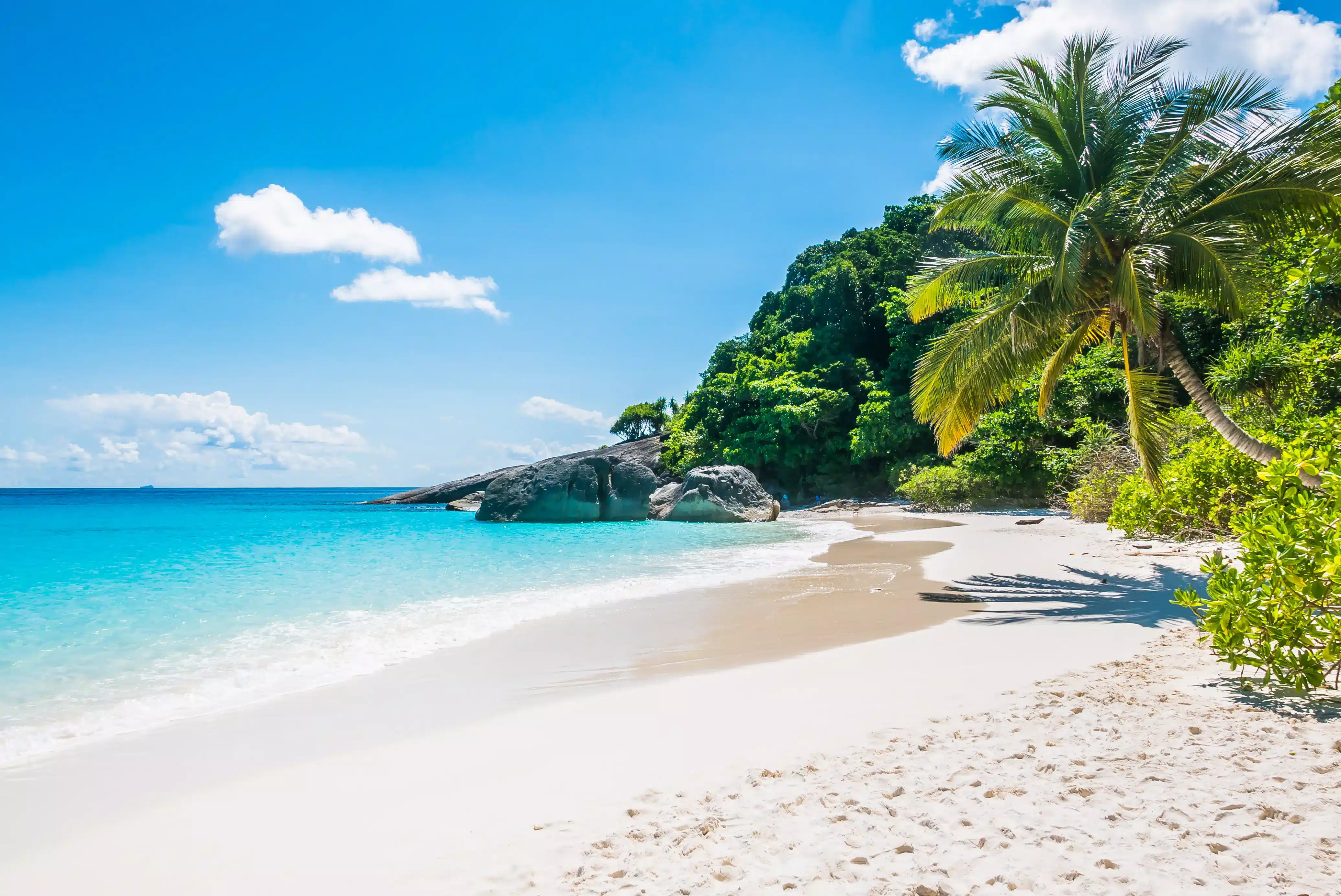 Beaches & Islands