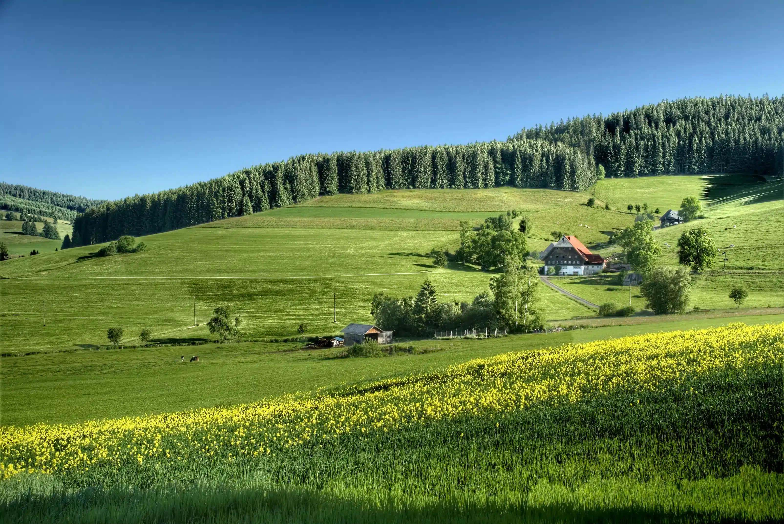 Countryside 