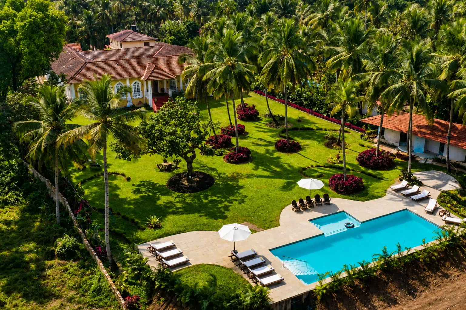10 Best Villas in Goa with Private Pool for a Luxury Escape