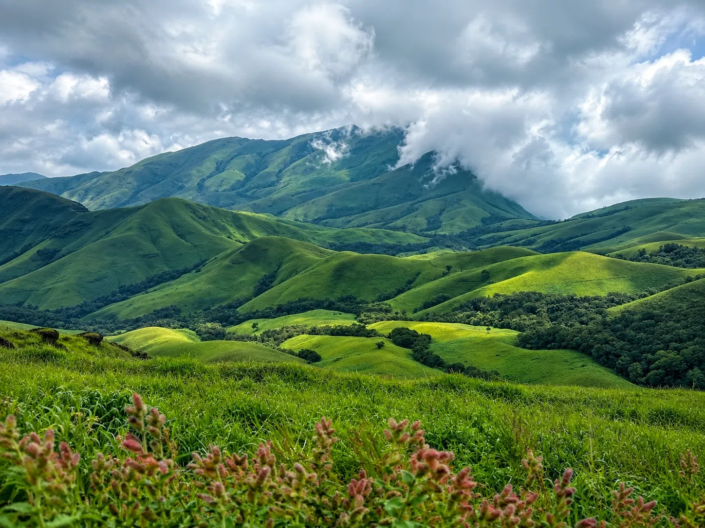 20 Best Places to Visit Near Bangalore for Weekend Getaways