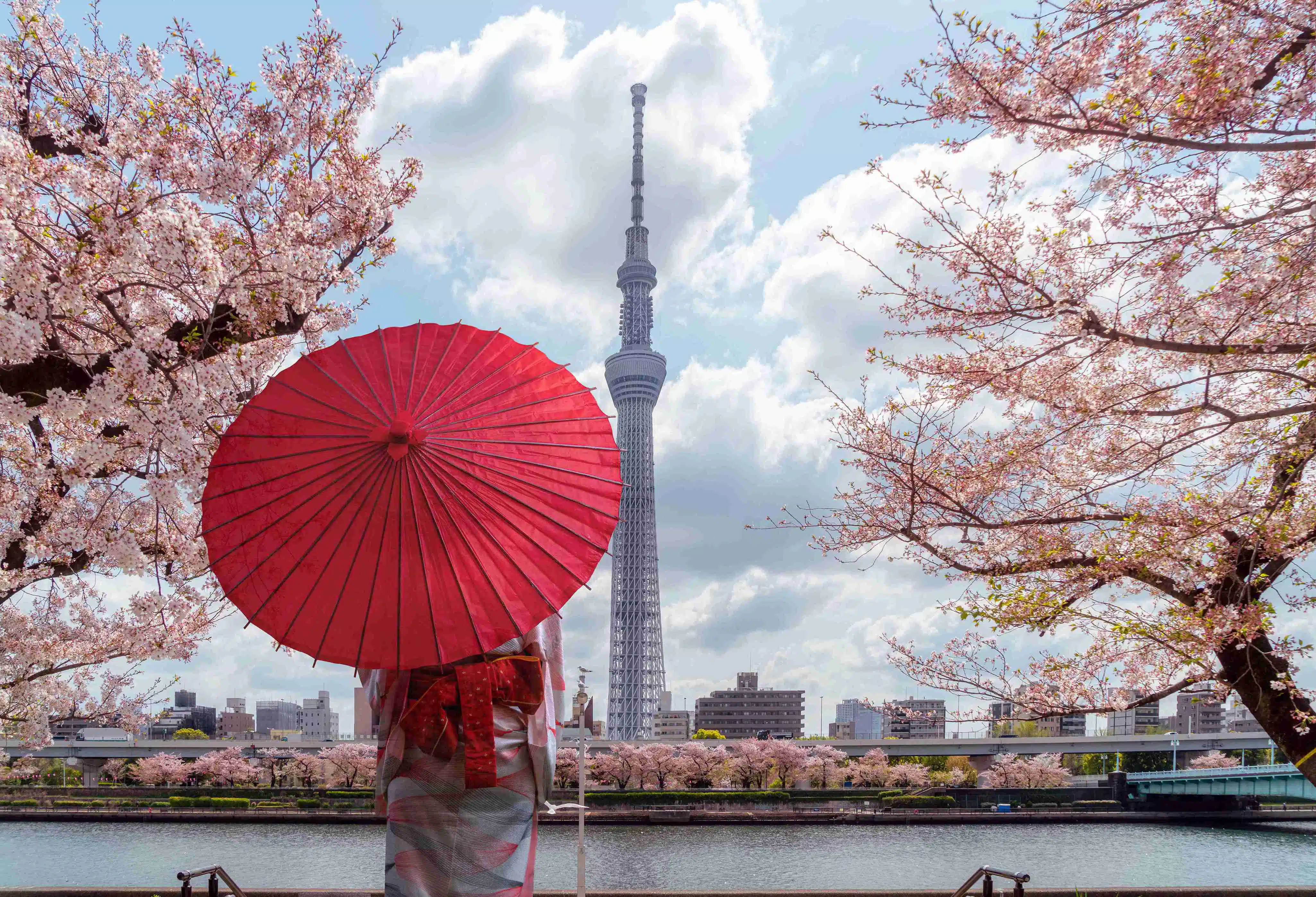 Things to Do in Tokyo: The Ultimate Guide to Tokyo's Best Attractions, Food & Experiences