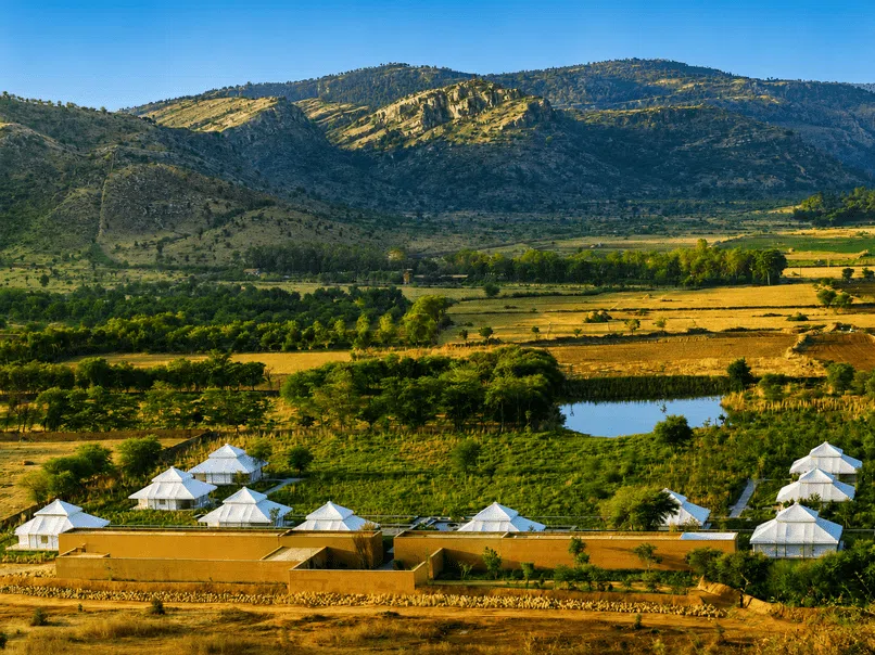 20 Best Hotels in Ranthambore: Luxury Resorts & Wildlife Stays Near the National Park