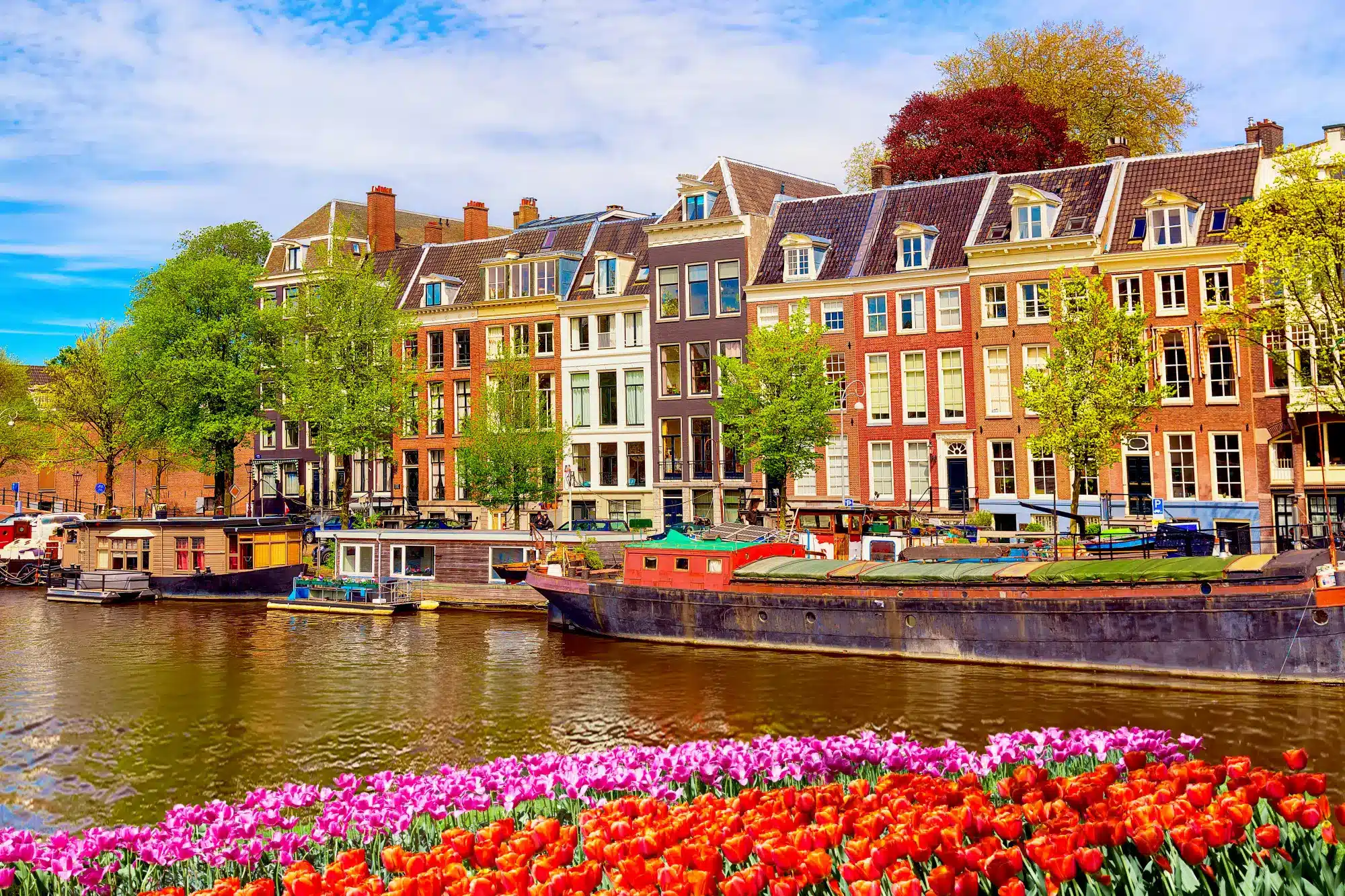 12 Best Things to Do in Amsterdam for First-Time Visitors in 2026