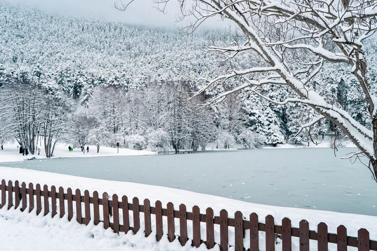 Snow