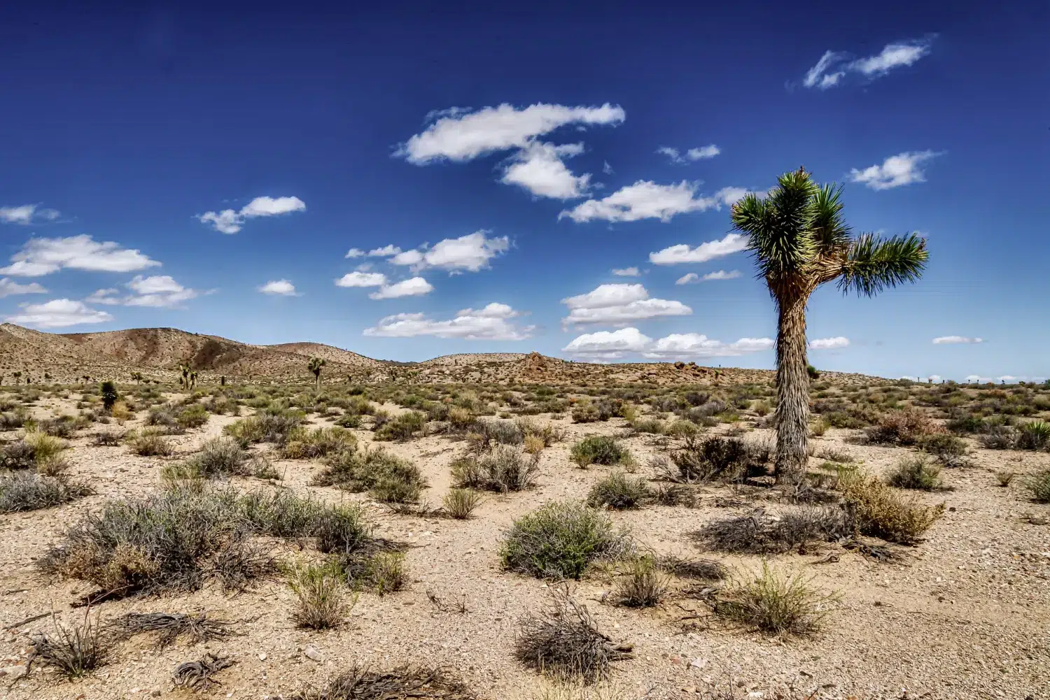 Tabernas