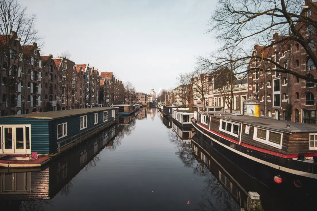 The Hague