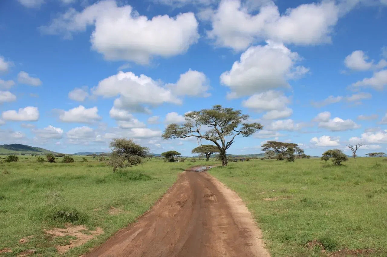 Serengeti